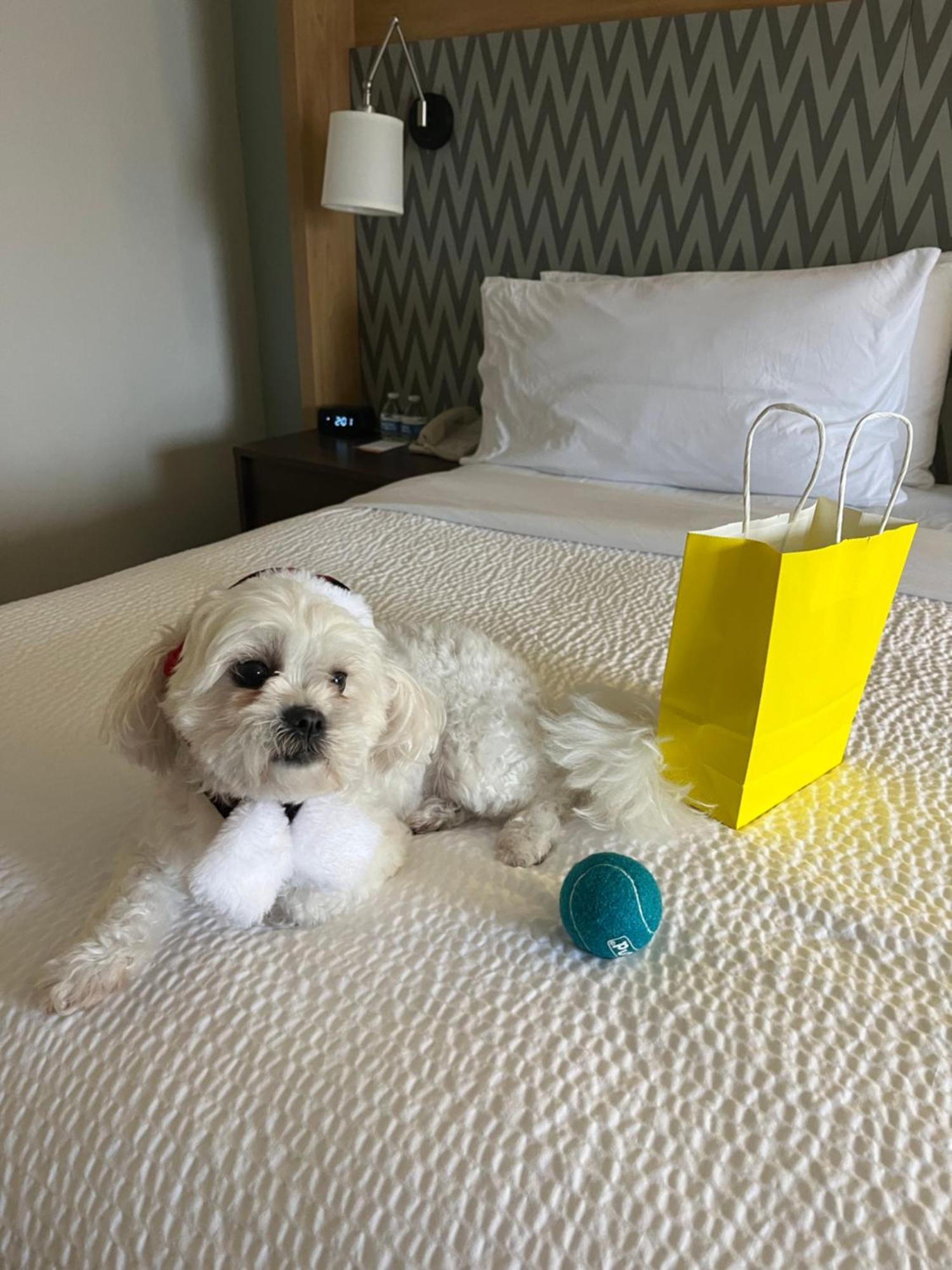 Holiday Inn Orlando International Airport By Ihg Extérieur photo